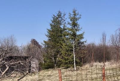 Spațiu comercial, în Dâmbul Rotund - 3