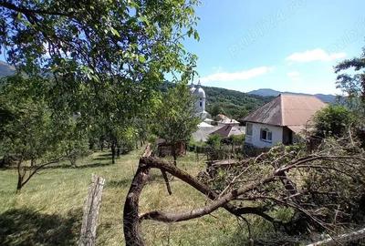 De vanzare teren intravilan in zona de munte - 5