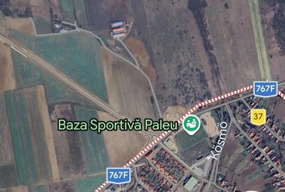 Teren de 7150 mp, în Paleu - 3
