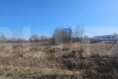 Teren de 3500 mp, în Sântuhalm - 3