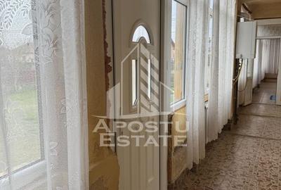Casă unifamilială în Remetea Mare  cu teren de 3383 mp. - 7