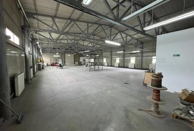 Spațiu industrial, de 1,000 mp, în Nord - 4