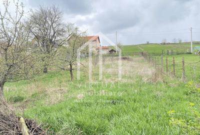 Casă individuală cu 2 camere cu Canalizare în Șura Mare - 29