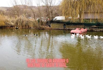 Oportunitate Unică: Teren cu Lac și Cabană în Sovata - 6