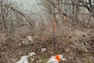 Teren de 1500 mp, în Svinița - 5