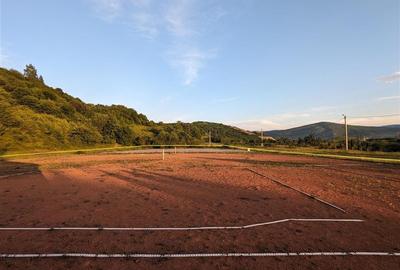 OPORTUNITATE INVESTITIE, TEREN + IMOBIL, TARLUNGENI - 5