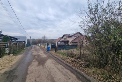 Vand 2500 mp in Branesti, strada Brazi in spatele lizierei, tpate utilitatile, - 7
