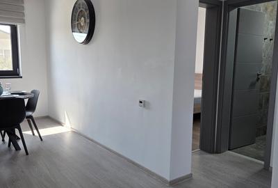Apartament cu 3 camere decomandat, mobilat în Tunari - 13