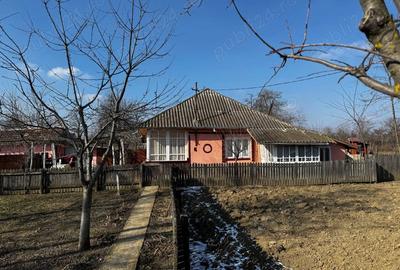 Casă cu 2 camere cu Teren 1300 Mp în Hermeziu - 3