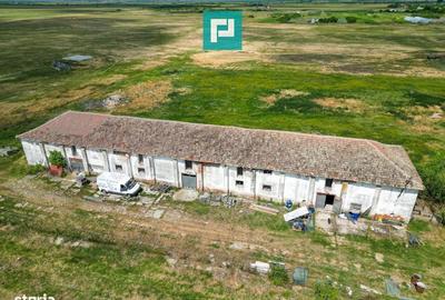 Spațiu comercial, de 455 mp, în Zărand - 12