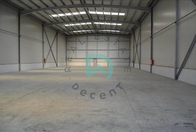 Vanzare hala industriala, 1656 mp, Parc Industrial Prejmer, Brasov - 7