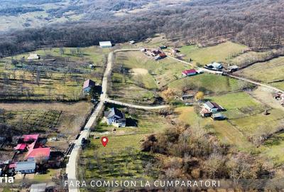 Spațiu comercial, în Căzănești - 3