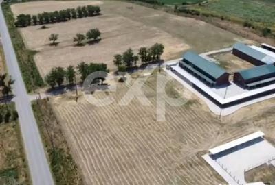 Teren în Crânguri - 4