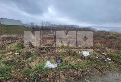 INVESTITIE TEREN  I  VAD COMERCIAL  I SUCEAVA  I  DRUM EUROPEAN 20ari - 6