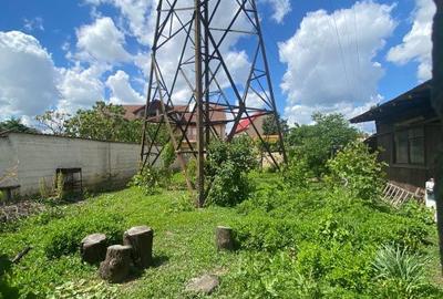 Casă cu 2 camere cu Teren 300 Mp în 1 Mai - 4