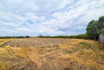 Teren intravilan Suseni Arges - 6