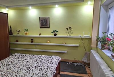 Casa Bartolomeu, pe doua nivele, stil deosebit, curte comuna - 12