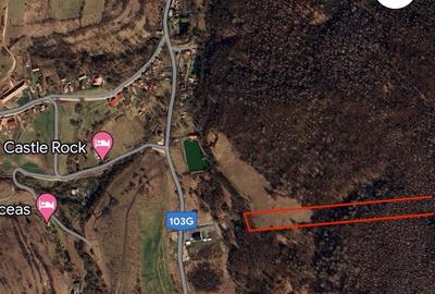 Spațiu comercial, în Pietroasa - 2