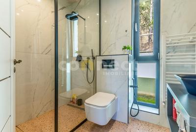 De inchiriat duplex in Grigorescu -215 mp terasa si 4 locuri parcare - 5