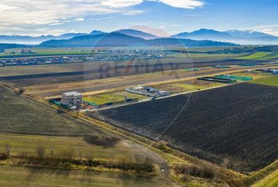 Teren intravilan 800mp Bod / Strada Iasomiei/ zona agrement Cismasu! - 4
