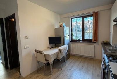 Apartament cu 2 camere semidecomandat, mobilat în Valea Lupului - 3