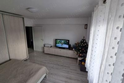 Garsonieră decomandată în Vișan - 4