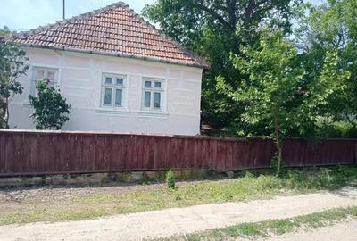 Casă cu 4 camere în Almașu Mare - 8