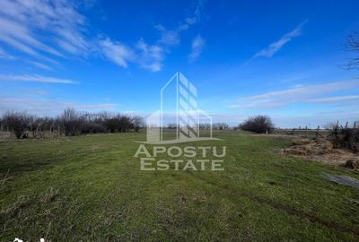 Spațiu comercial, de 10,000 mp, în Gai - 2