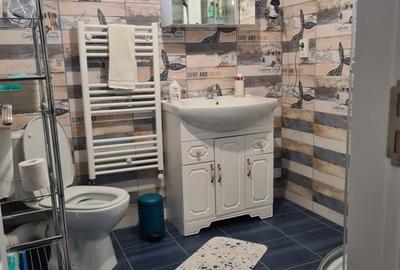 Duplex cu 6 camere cu Canalizare în Bragadiru - 9