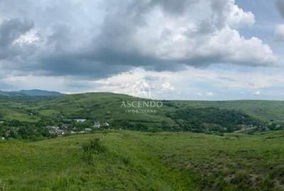 Teren de 15900 mp, în Năeni - 11