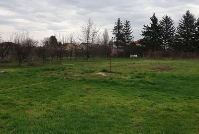 Casă cu Teren 2800 Mp în Mărtinești - 1