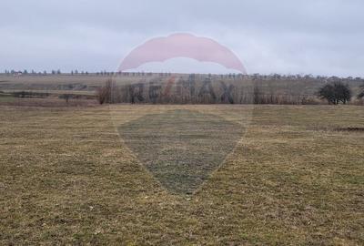 Teren 2925 mp comuna Mitocu Dragomirnei - 17