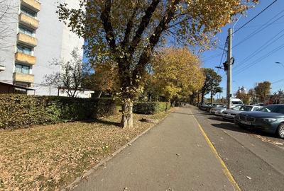 Apartament 1 camera, parter, zona Vivo Mall - 2