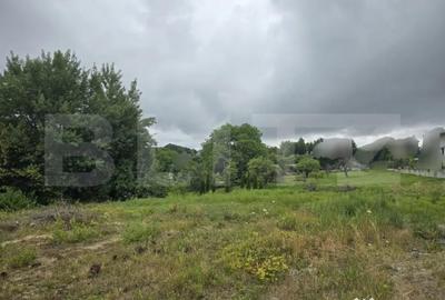 Teren de 845 mp, în Făget
