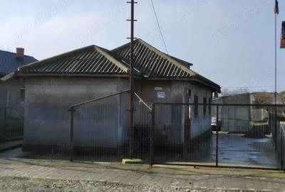 Casa de vanzare in Manasia - 3