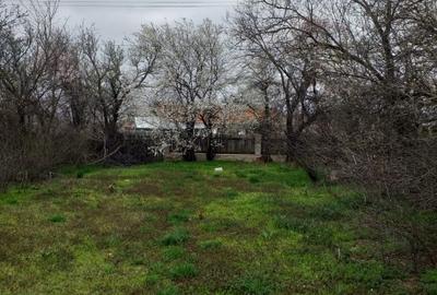 Casă individuală cu 4 camere cu Teren 1800 Mp în Heliade Rădulescu - 4