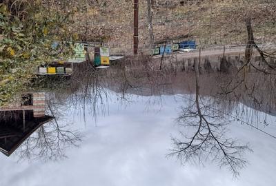 Vand constructie in zona montana ,Corbi ,jud Ag.Facilitati,apa curent ,gaze naturale ,asfalt la poar - 2