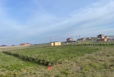 Spațiu comercial, în Săcălaz - 2