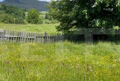 Teren Intravilan Colibita 1346mp cu Panorama asupra lacului - 2