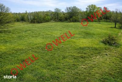 Teren de 884 mp, în Brăduț - 2