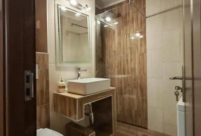 Garsoniera deosebita Parcul Catedralei - 10