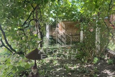 Casă cu 3 camere cu Canalizare în Bucovăț (Remetea Mare) - 2