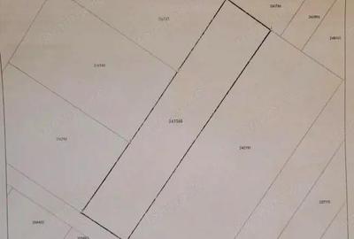 Teren de 750 mp, în Viile Noi - 3