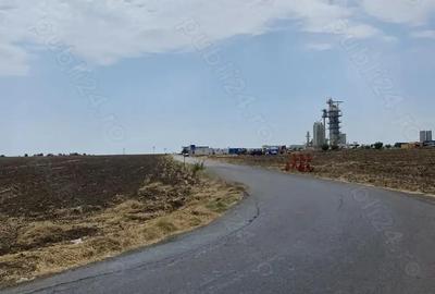 Teren intravilan oras Ovidiu zona Tineri Casatoriti - 5