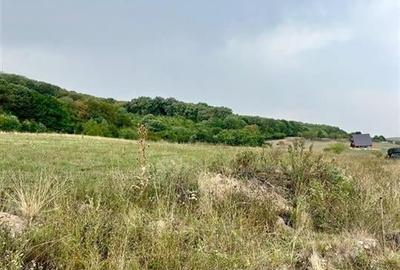 RECO teren de vanzare in zona Betfia - 7