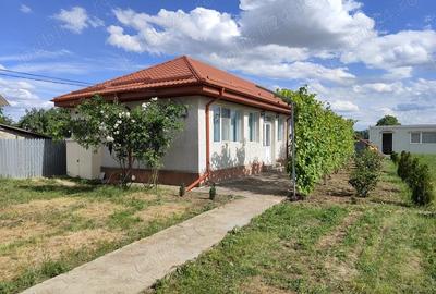 Casă cu 3 camere cu Teren 3500 Mp în Central - 12