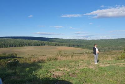 Teren de 550 mp, în Poieni - 1