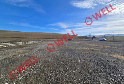 Teren de 6837 mp, în Barcani - 5