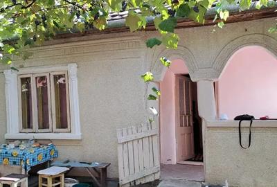 Casa de vanzare, comuna Cujmir, Mehedin?i, beci, fantana, gradina, 686 mp total - 2