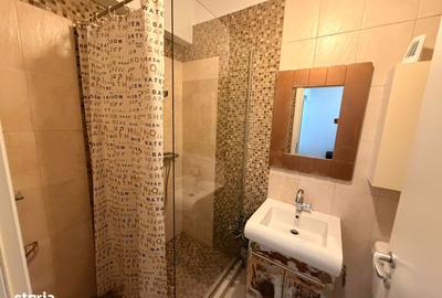 Apartament cu 2 camere semidecomandat, mobilat în P-ța Alba Iulia - 4